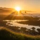 golden hour fotografia co to